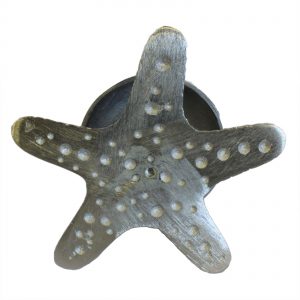 starfish desk bell