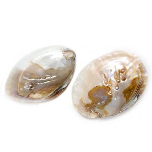 Smudge Stick Dishes