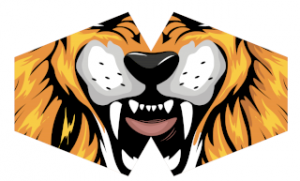 lion face mask