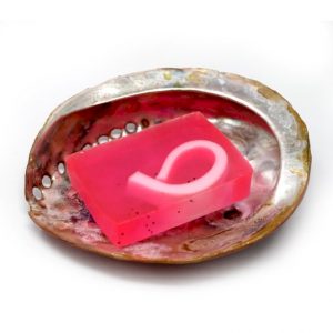 shell dishes