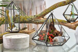 glass terrariums