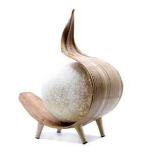 coconut lamps