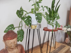 wooden plant stand