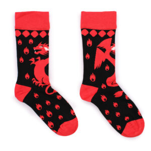 website photo red dragons