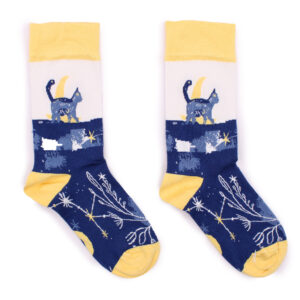 website image midnight cat