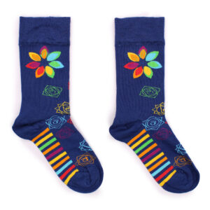 website image rainbow chakra