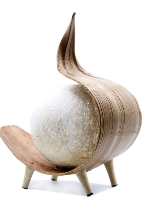 Natural Coconut Lamp - Chocolate Twist