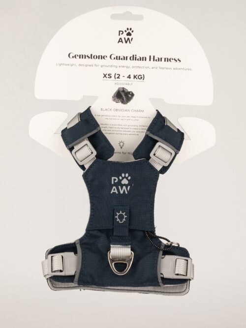 PAW - XS (2-4Kg) Dog Step-in Guardian Harness with Reflective Mesh - Rock Grey - Black Obsidian Charm