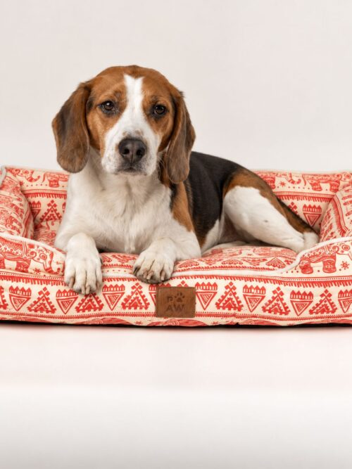 PAW Bed – Lucky Elephant – Red – 60 × 50 × 14cm