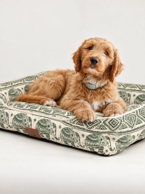 PAW Bed – Lucky Elephant – Green – 60 × 50 × 14cm
