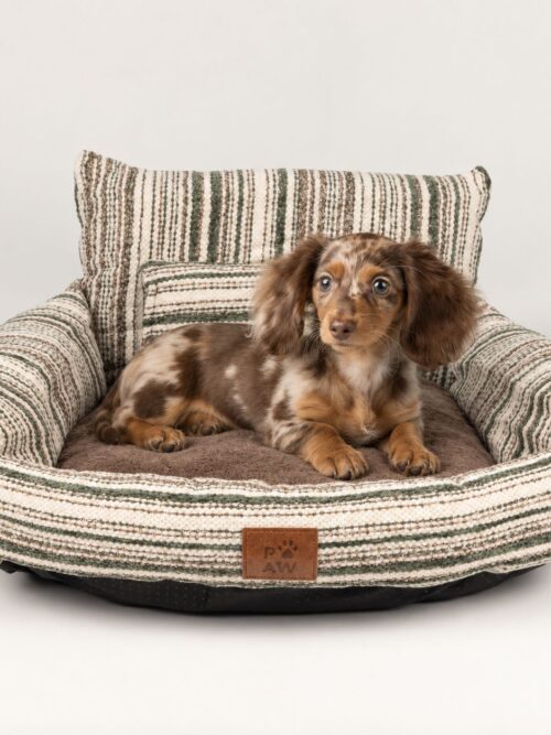 PAW Bed – Small Sofa – Brown Stripes – 50 × 50 × 26cm