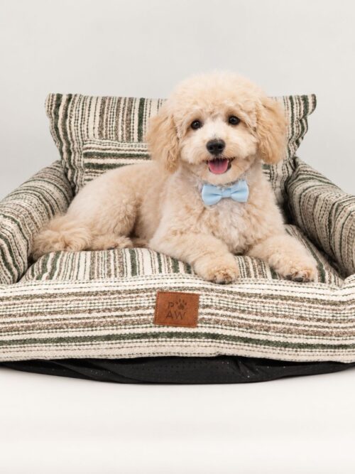 PAW Bed – Medium Sofa – Brown Stripes – 60 × 60 × 28cm