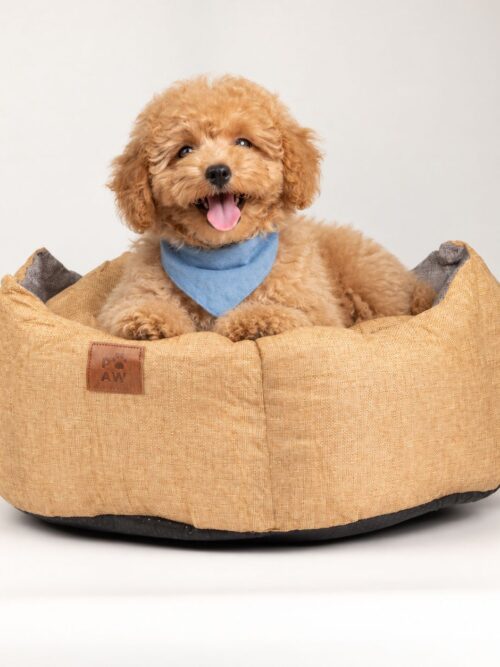Paw Bed – Medium Royal Crown – Sand & Grey – 50 × 50 × 26cm
