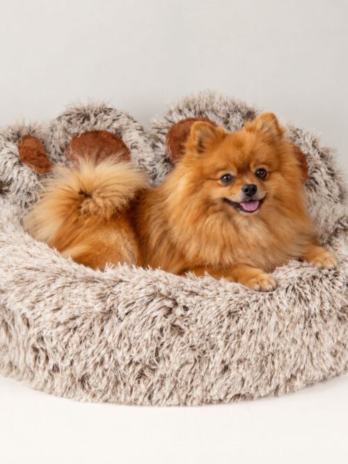PAW Bed – Medium Big Paw – 60cm