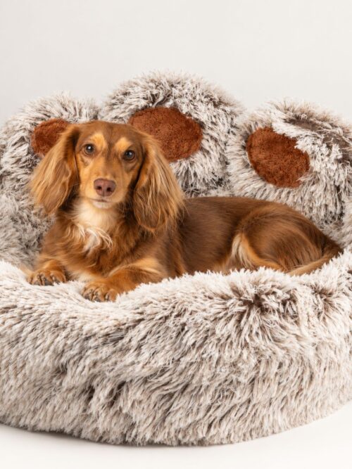 PAW Bed – Large Big Paw – 70cm