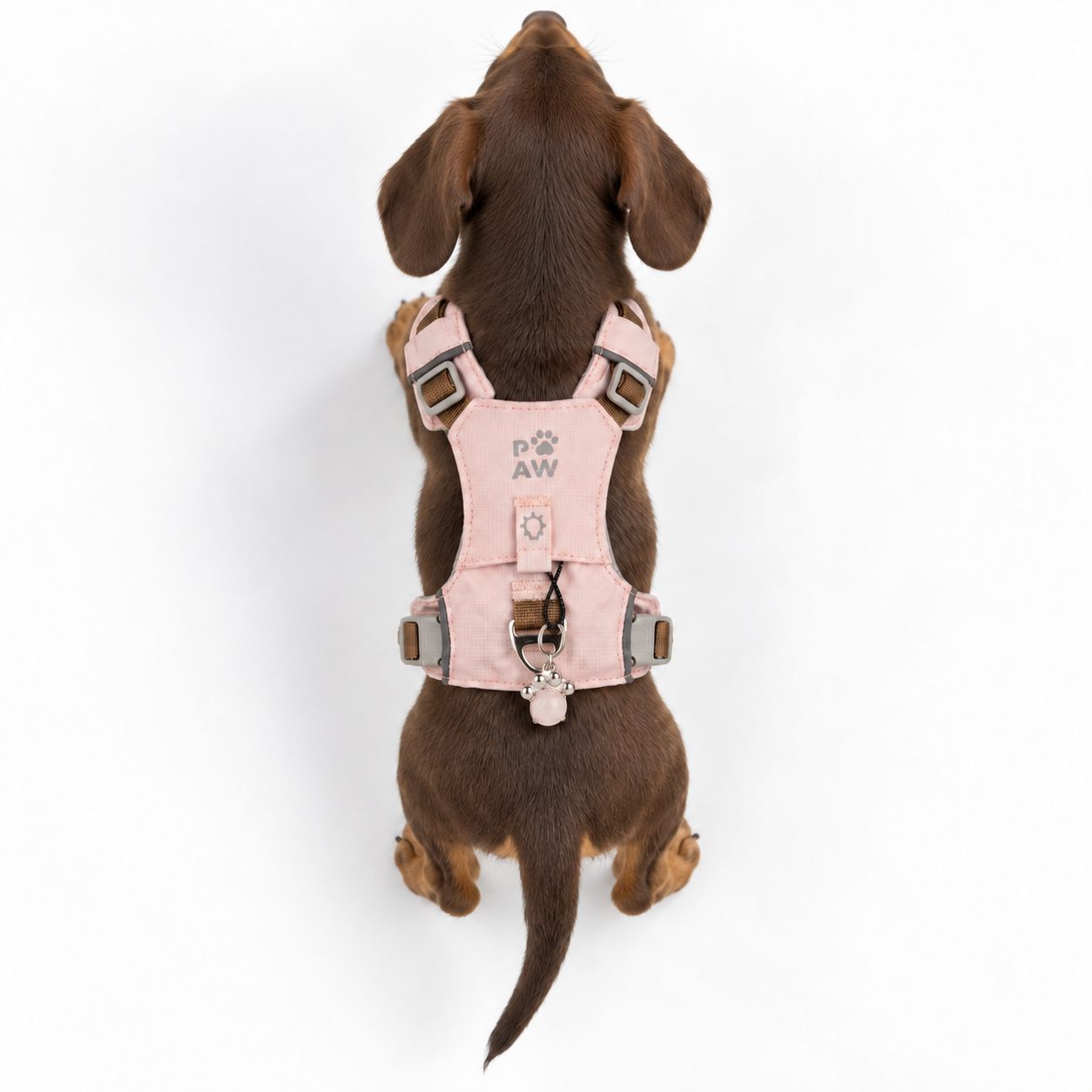 PAW - XS (2-4Kg) Dog Step-in Guardian Harness with Reflective Mesh - Soft Pink - Rose Quartz Charm - Image 11