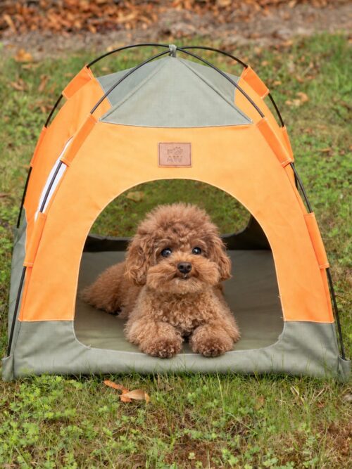 PAW Bed – Green & Orange Tent – 48 × 48 × 40cm