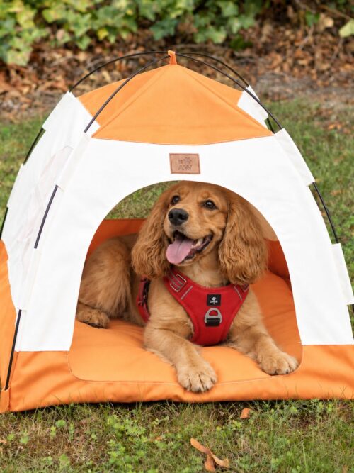 PAW Bed – Beige & Orange Tent – 58 × 58 × 48cm