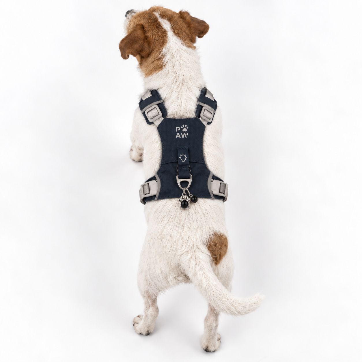 PAW - S (4-8Kg) Dog Step-in Guardian Harness with Reflective Mesh - Rock Grey - Black Obsidian Charm - Image 10