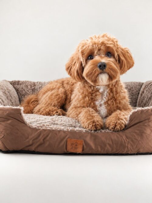 PAW Bed – Small Plush Teddy Brown – 60 × 45 × 17cm