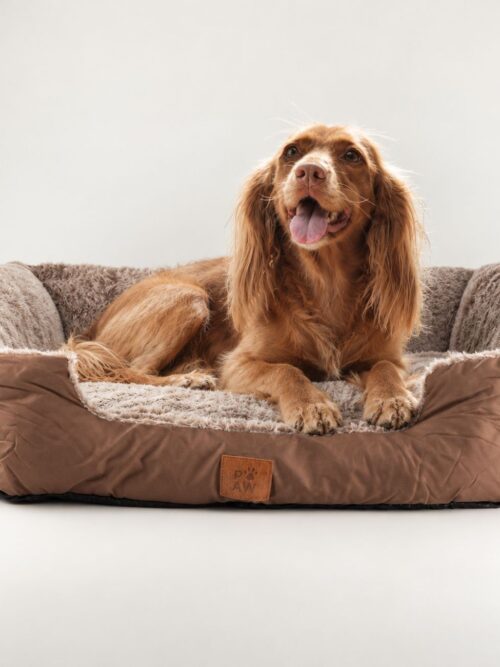 PAW Bed – Medium Plush Teddy Brown – 70 × 55 × 18cm